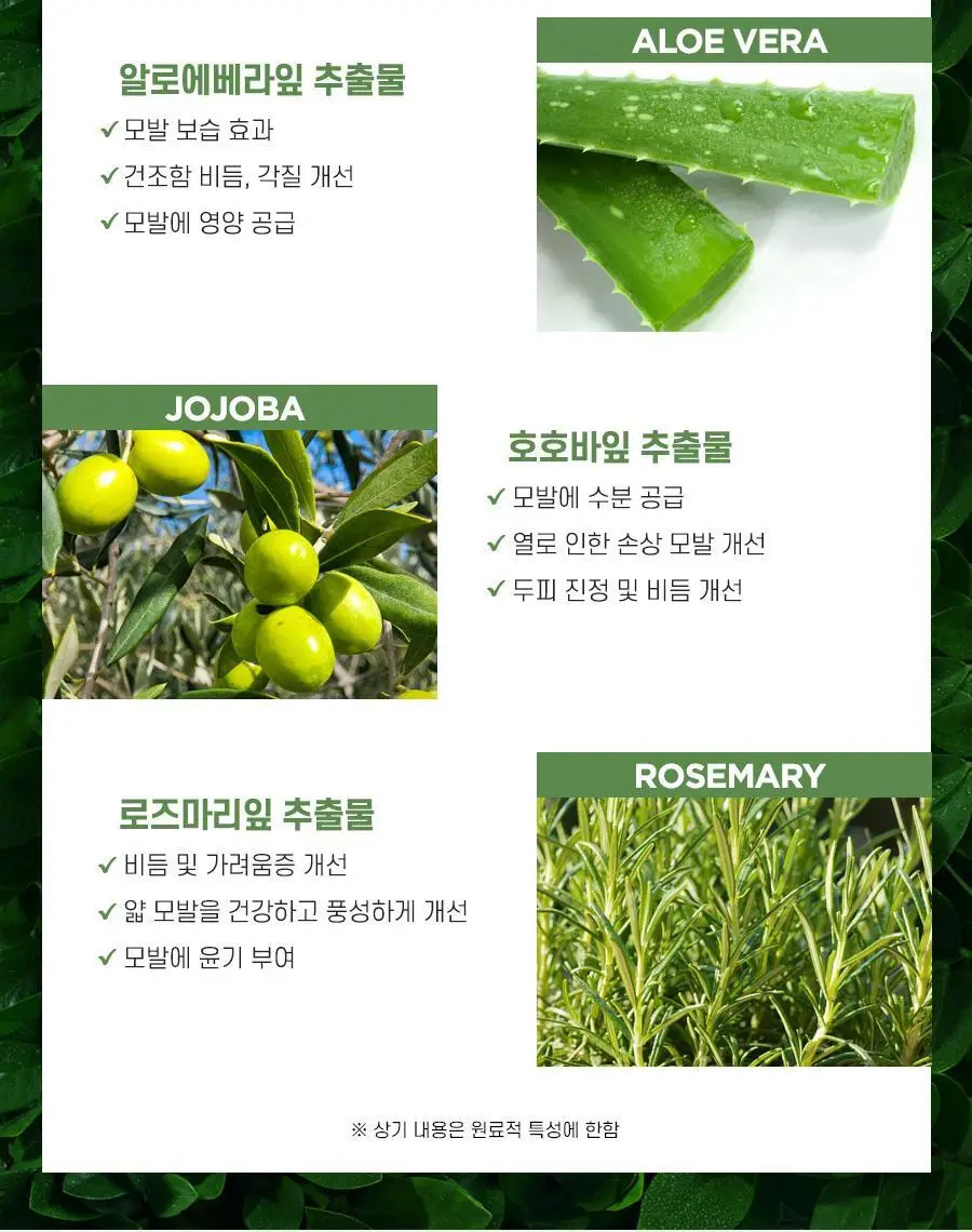폴미첼 티트리 스페셜 샴푸 1000ml (리뉴얼) [쿨링/정수리냄새/기름기/각질케어] 상세페이지 13